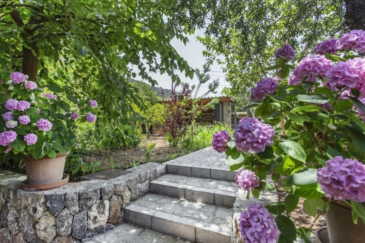 Sa Vinya De Son Bou Villa Soller